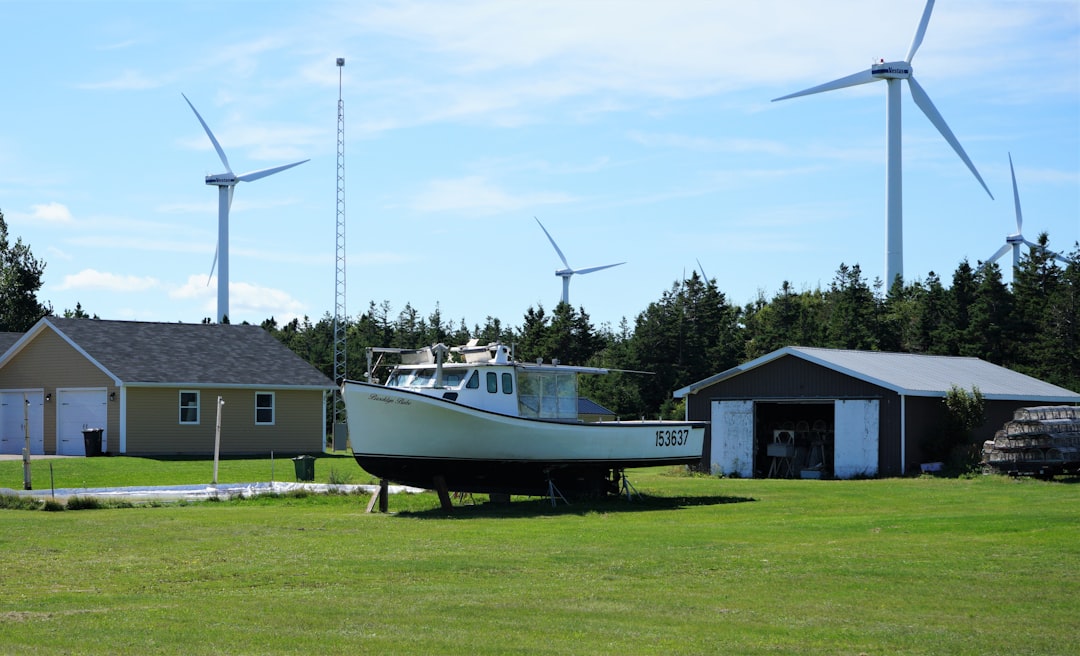 Dory & Windmills